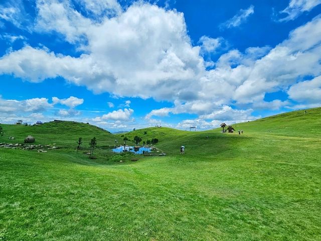 不用去新疆!在湘南郴州找到宫崎骏童话草原|蹒跚小旅人一日漫游 不用去新疆!在湘南郴州找到宫崎骏童话草原|蹒跚小旅人一日漫游