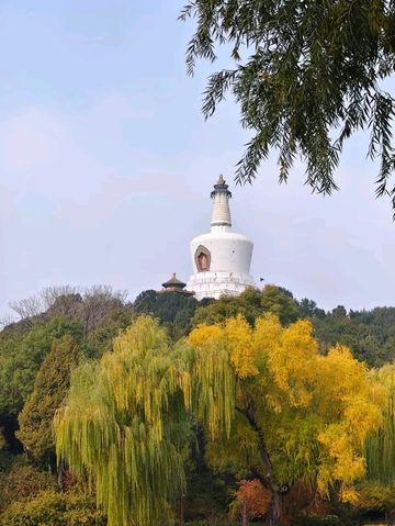 Autumn's Masterpiece in an Emperor's Garden