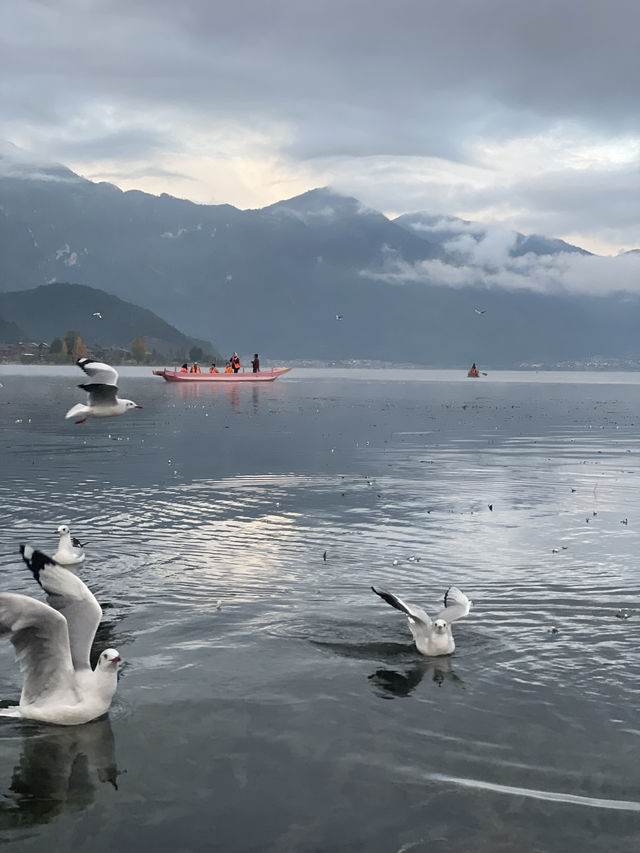 瀘沽湖晨霧|霧裡的湖光與水性楊花 瀘沽湖晨霧|霧裡的湖光與水性楊花