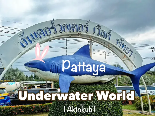 推薦觀賞海洋生物的好去處