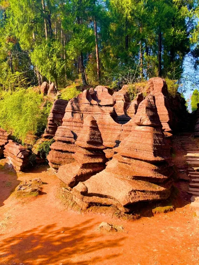 Red Rocks Escape🌳