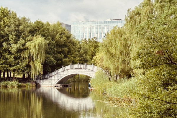 Minhang The Water Forest of Minhang Cultural Park|Trip.com 上海