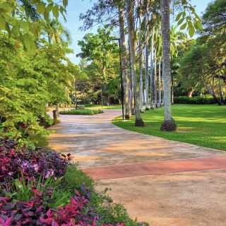 喬治·布朗·達爾文植物園