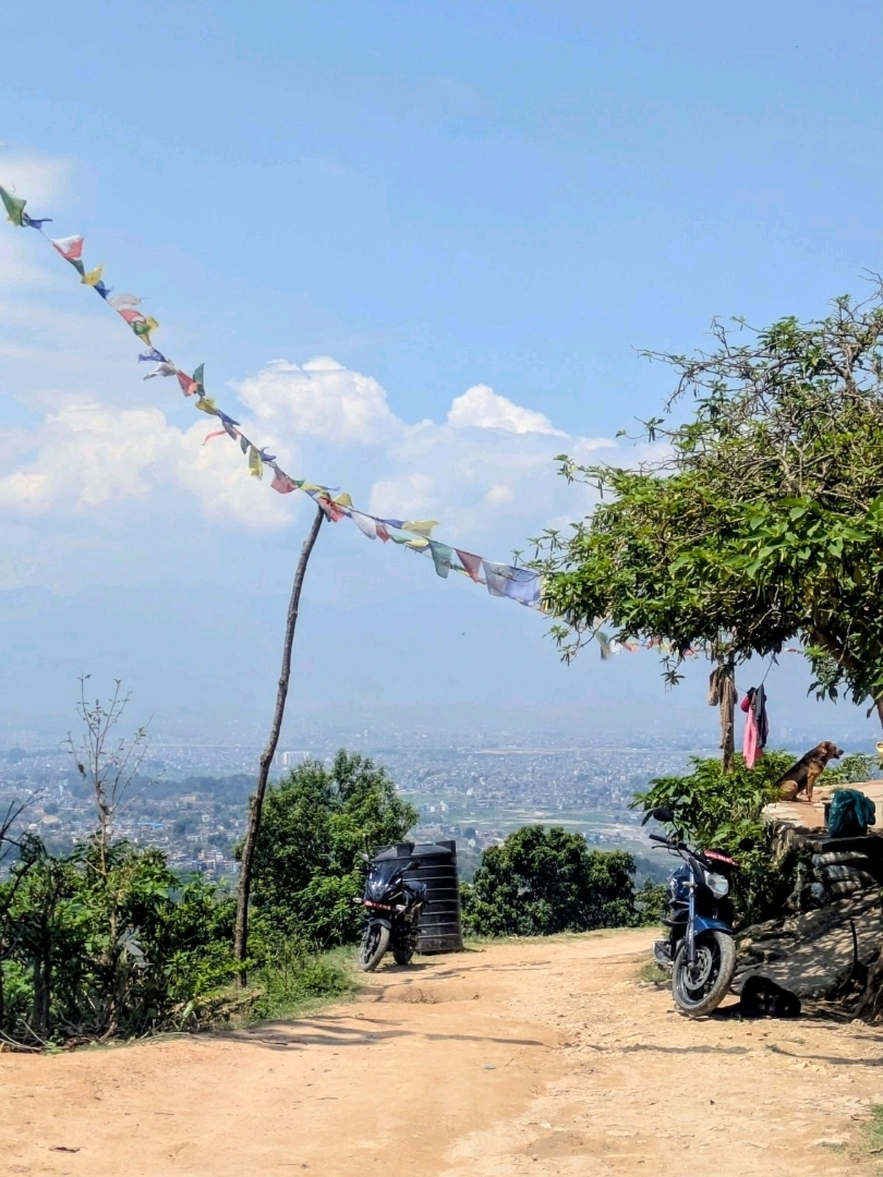 [Nagarkot → Changu Narayan] Một chuyến đi bộ nhàn nhã trong khi tìm hiểu cuộc sống địa phương.