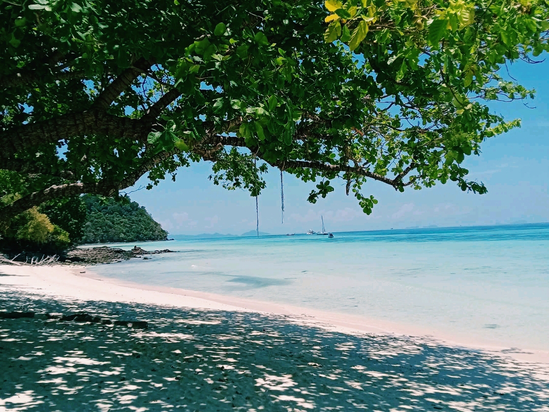 🏝️ Dạo bước dọc bãi biển… tận hưởng làn nước trong vắt của Koh Lanta.