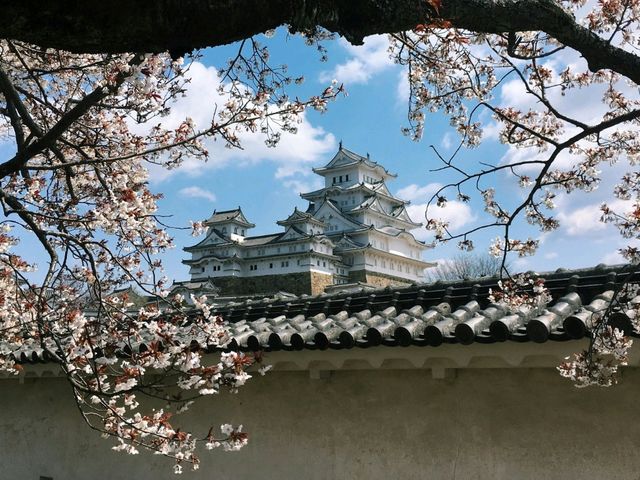 🏯 Химэдзи — город самого красивого замка Японии