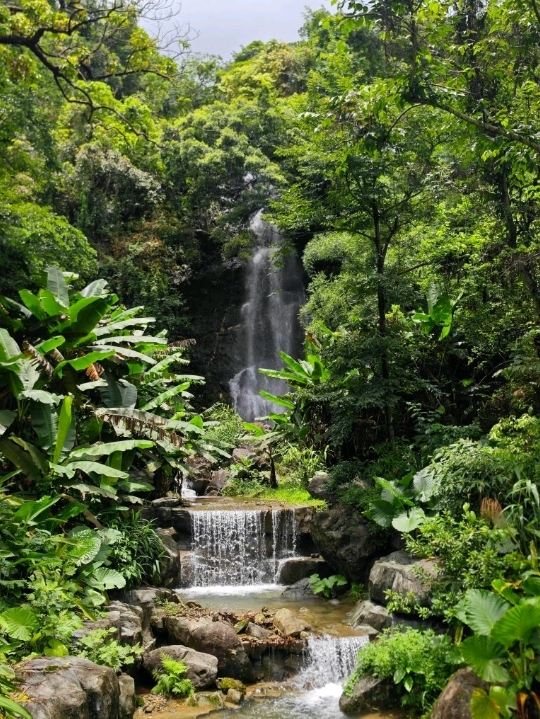 飛瀑公園 | 深圳に隠された雨上がりの滝。 | Trip.com 深セン
