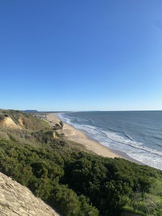 Surf, Sun & Scenic Strolls on the Atlantic Andalusian Coast 🏄♂️🌞  
Experience Conil De La Frontera as your winter escape, where endless sandy beaches and Atlantic swells meet vibrant town charm!

Start your journey at Plaza de Santa Catalina, the beating heart of Conil. Grab a morning coffee and soak up local life—weekends bring lively markets and street musicians. Next, head towards the iconic Torre de Guzman (Av. de la Playa, 8). Climb to the top between 11:30–14:00 and 17:30–20:30 (Wed–Sat) for panoramic seaside views and a dash of local history! Don’t miss the tower’s shadow art on late afternoon walks.

Finish your day at Mirador Playa Conil (Arrabal Urb Ply Roqueo, 2)—this cliff-top viewpoint is open all day, year-round. Bring your camera at golden hour for the most “insta-worthy” beach panoramas. The endless stretch of sand here is perfect for surfing; winter brings consistent waves and fewer crowds, so pack a wetsuit for chilly waters.  

Pro Tips: Traveling light? Surfboards are easily rentable in town. The Atlantic can get windy, so layer up even on sunny days. Avoid mid-day sun (and crowds) by visiting early or late, especially on weekends. And always keep an eye out for “Levante” winds—local surfers swear they bring the best waves!

#Conil  #Andalusia  #SurfEscape  #WinterTravel  #Spain 