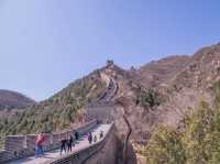 The Ultimate Beijing Day Trip: Great Wall, Forbidden City, Peking Duck & Sanlitun Nightlife!北京经典一日游