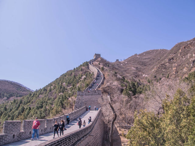 The Ultimate Beijing Day Trip: Great Wall, Forbidden City, Peking Duck & Sanlitun Nightlife!北京经典一日游