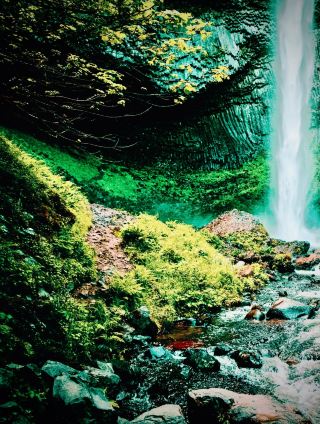 Shirayama Shrine and the Hakusan Fir Cliff: Ishikawa's 2,702 m Approacheasytravelpost #Hakusan #Shi