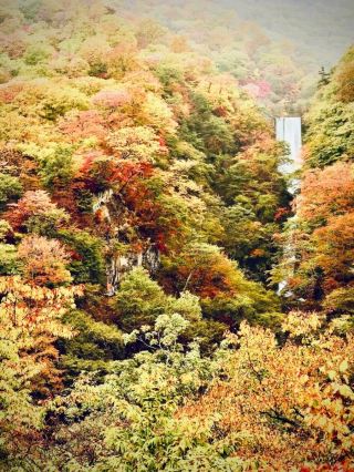 委內瑞拉梅里達皮科玻利瓦爾莫西安第斯帕拉莫輕鬆旅行貼文#PicoBolivar #MucubajiParamo #Andea