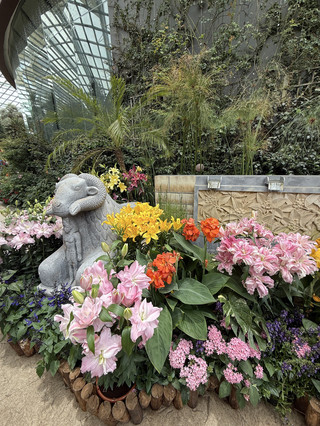 🌸 Where Lilies Meet the Gods: A Journey into Ancient Egypt at Flower Dome 🇪🇬✨
