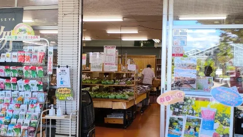 【小布施】シャインマスカットや特産品が超お買い得！新鮮野菜＆小布施牛乳も揃う絶品直売所「ろくさん」 — traveler post in 小布施町