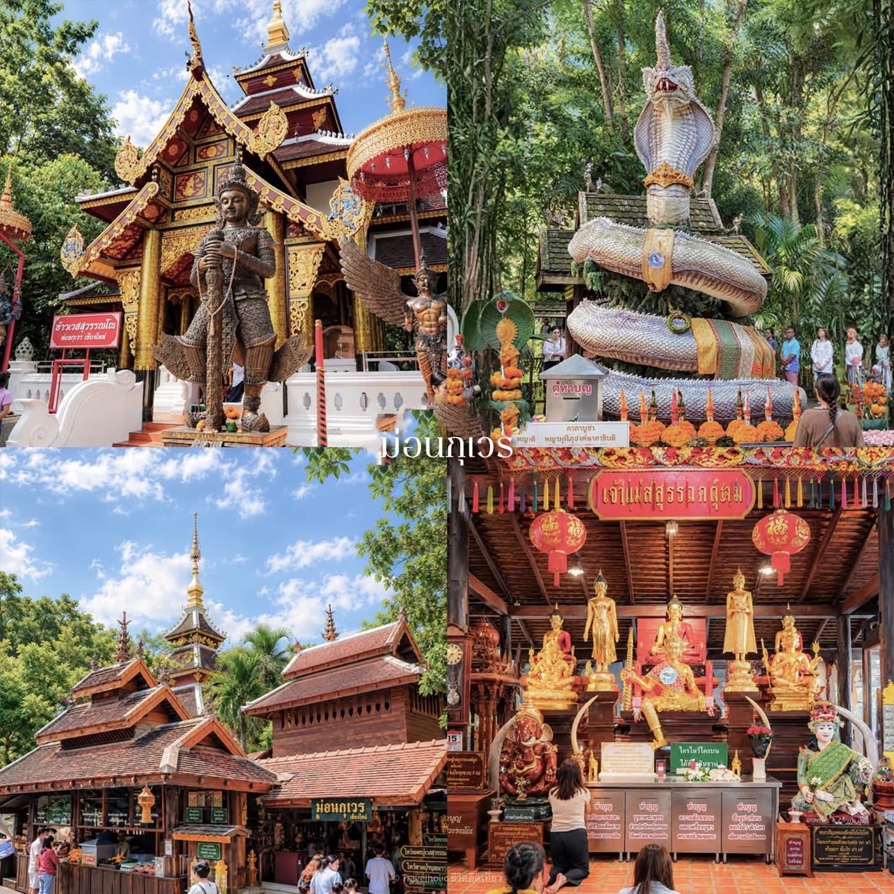 Một chuyến đi 3 ngày 2 đêm đến Chiang Mai vào mùa mưa thực sự tuyệt vời! Cây cối xanh tươi mướt mắt, và thời tiết mát mẻ dễ chịu.