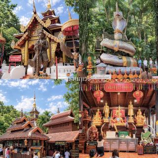 A 3-day, 2-night trip to Chiang Mai during the rainy season is absolutely amazing! The trees are lush green, and the weather is pleasantly cool.