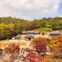 꼭 가봐야 할 단풍명소 인천 투썸플레이스 문학점