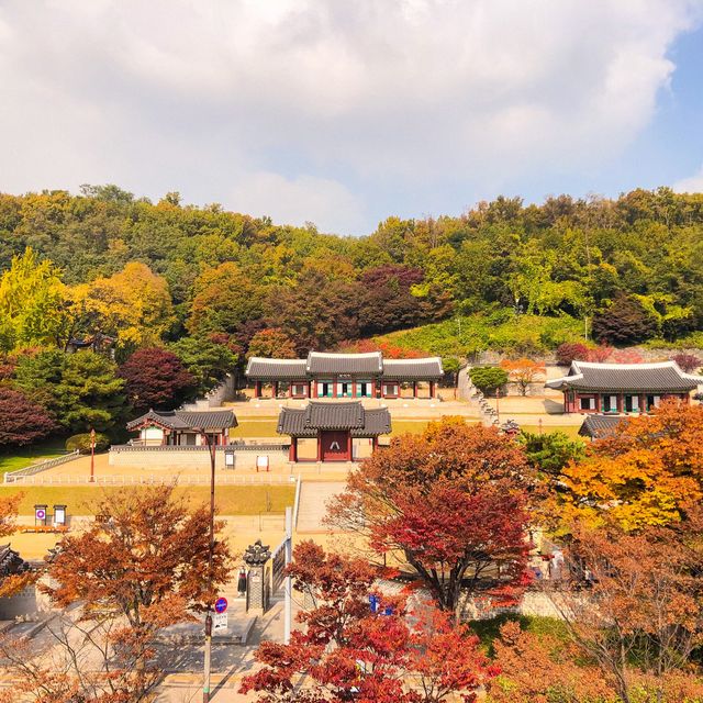 꼭 가봐야 할 단풍명소 인천 투썸플레이스 문학점