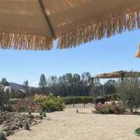 Peace & quiet & vineyard