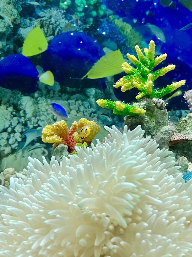 The Oceana Aquarium - Haikou