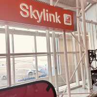 SkyLink in Dallas Texas 🇺🇸