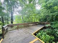 Escape to Nature in Stallings
