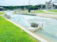 Where Rapids Meet Renewal