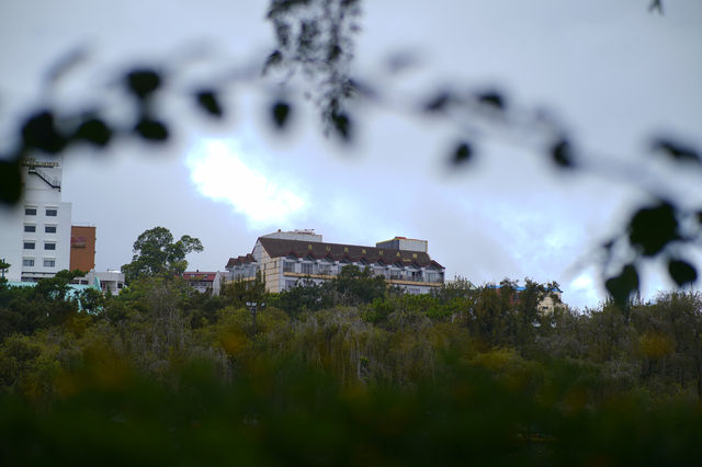  Late Afternoon at Burnham Park, Baguio