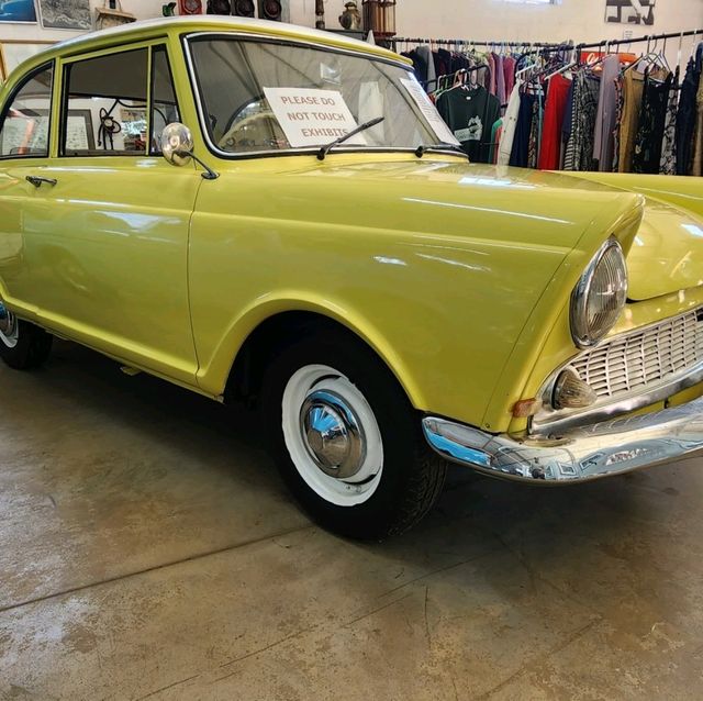 south coast munster south coast munster