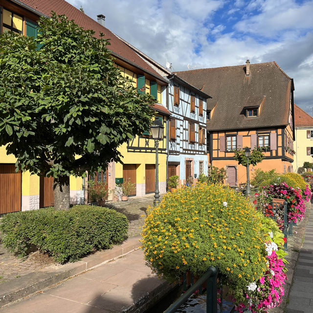 Ribeauville - must visit in Alsace 🇫🇷