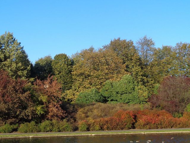 Beggining of autumn in Bródnowski Park 🗺️