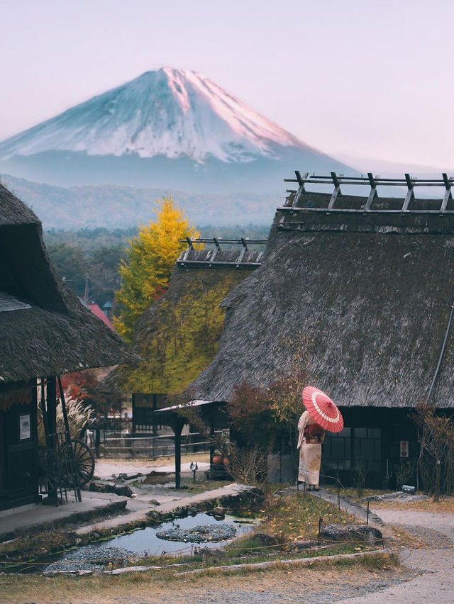 사이코 이야시노사토 넨바 (일본 전통 마을)
