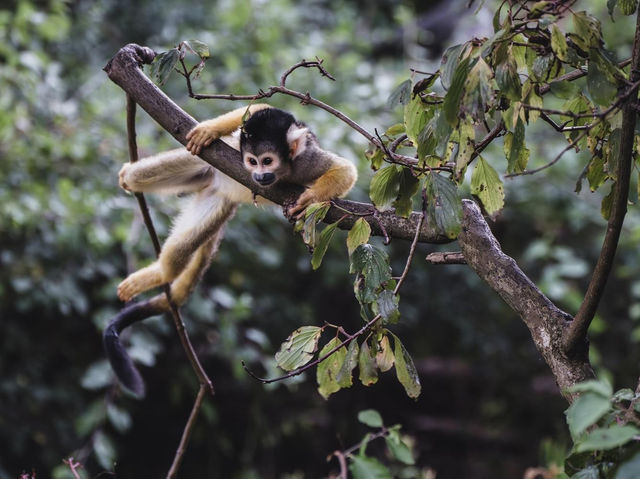 Zoo Basel 🗺️