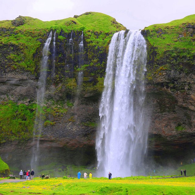 Iceland Trip