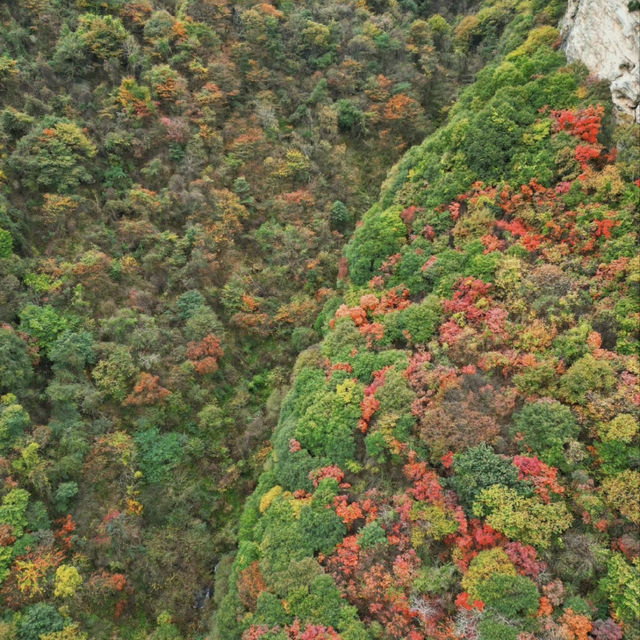 少华山 (Shao Hua Mountain)