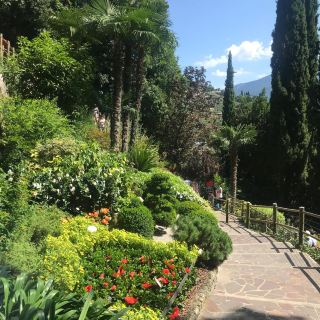 A gardens and a waterfall 