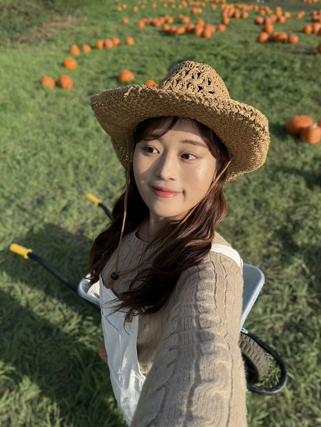 가을에 런던에서 꼭 가봐야할 pumpkin patch 🎃