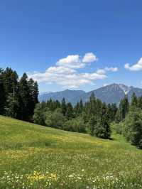 Dreamy Summer Mountain Views