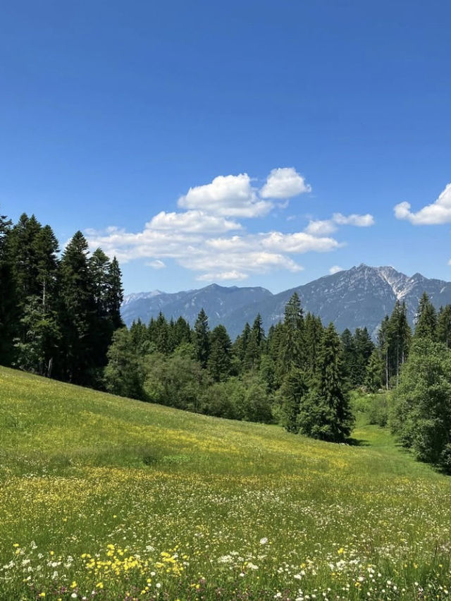 Dreamy Summer Mountain Views