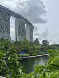 🌿✨ Cloud Forest Singapore: A Misty Wonderland in the Tropics