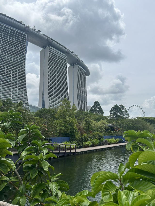 🌿✨ Cloud Forest Singapore: A Misty Wonderland in the Tropics