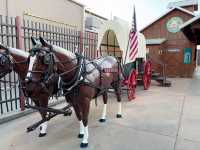 Wall Drug – The Most Eccentric Roadside Theme Park in America! 🎡