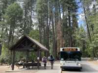🏞️ Yosemite National Park – The Ultimate Adventure Theme Park! 🌟🌲  