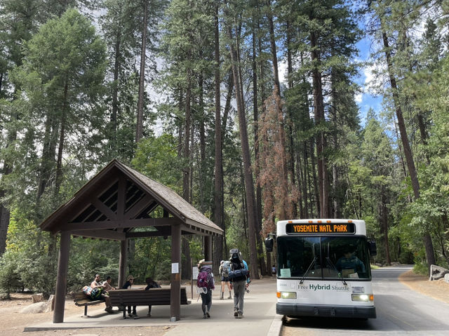 🏞️ Yosemite National Park – The Ultimate Adventure Theme Park! 🌟🌲  
