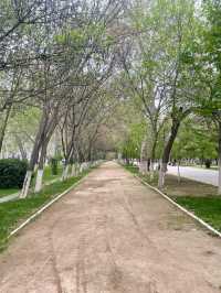Usual Stroll along University Boulevard 