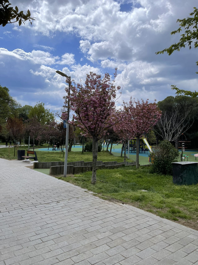 Maçka Democracy Park: Istanbul's Green Gem
