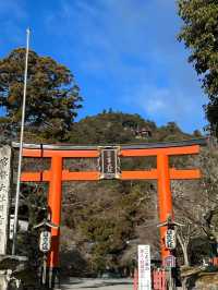 That shrine will bring you benefits