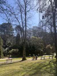 Lunch with a view @ Valley Gardens 