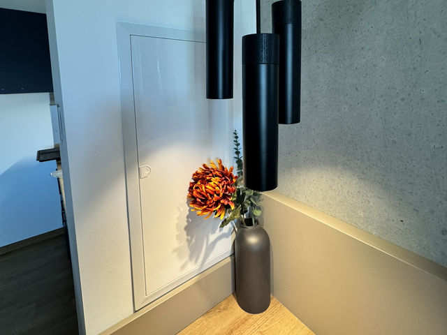 Brera Serviced Apartments: Singen住ㄧ晚