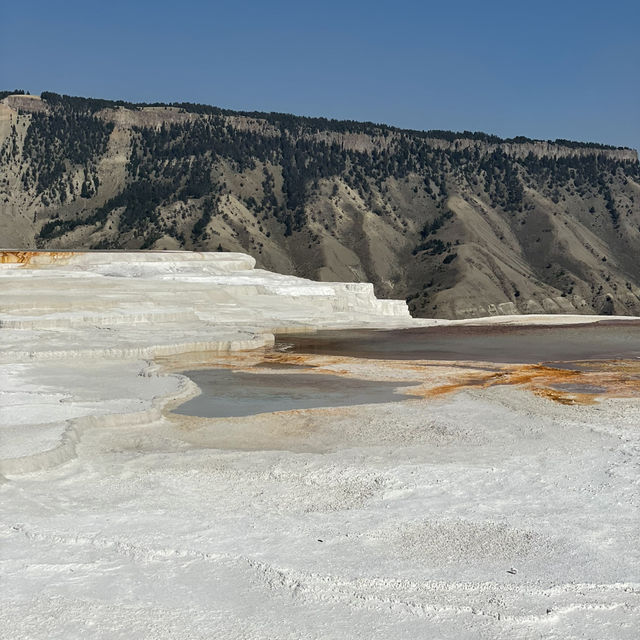🥾 Top Hikes in Yellowstone National Park 🌲🦌